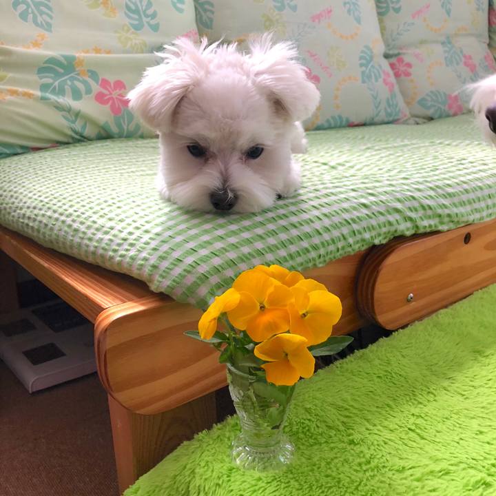 A9d2a879 5bda 437c b132 01d9a4e9e4e2 1523682177416