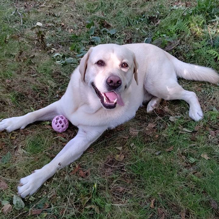 A9d2d902 c391 4991 8f67 5f4bf75a835d 1596961055299