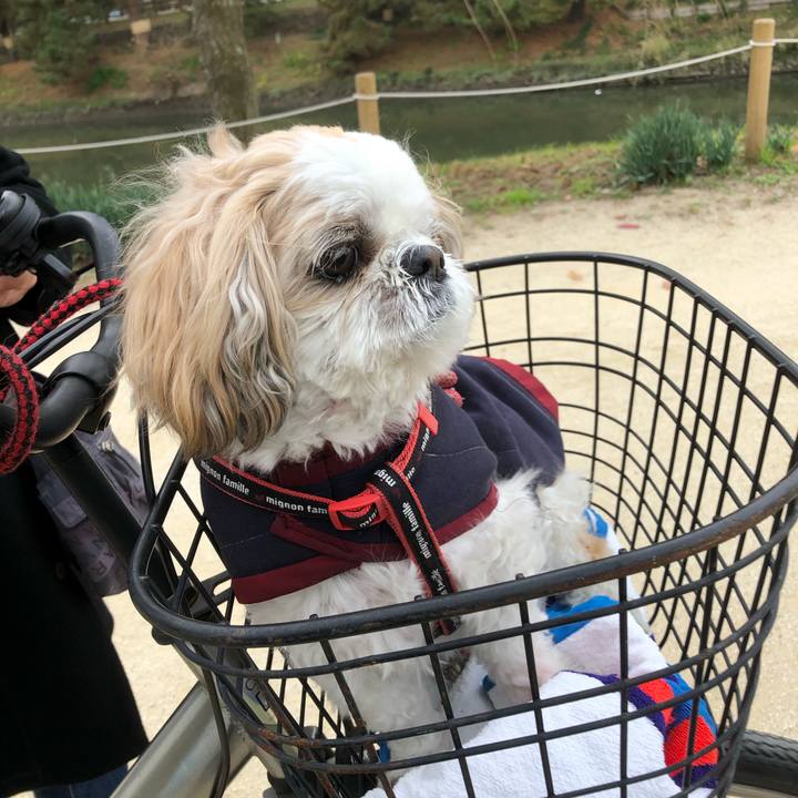 A9d2e3a6 08dc 4f8b b696 ae3a7315a6e8 1607032548646