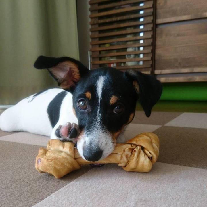 A9d2f4a3 78f1 4cf9 b631 d054d54dbae2 1590902203836