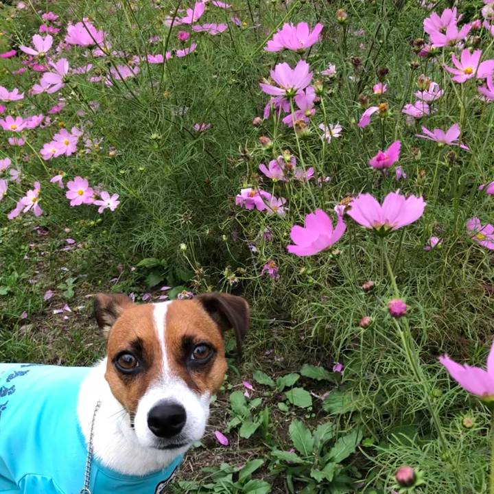 A9d3dbd2 3455 4d95 a399 9c0844d7cc23 1569199196183