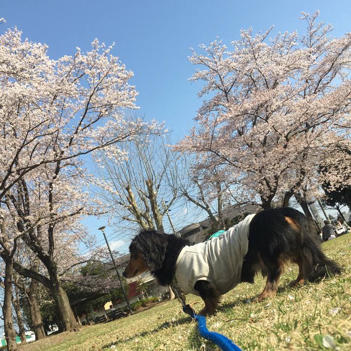 A9d3e74b 55ba 4a73 b53b a4cbe9b5e21d 1522478840331