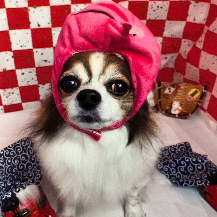 A9d3f3fd 9cd6 420c ba26 07d94a6ec9e1 1744950530486