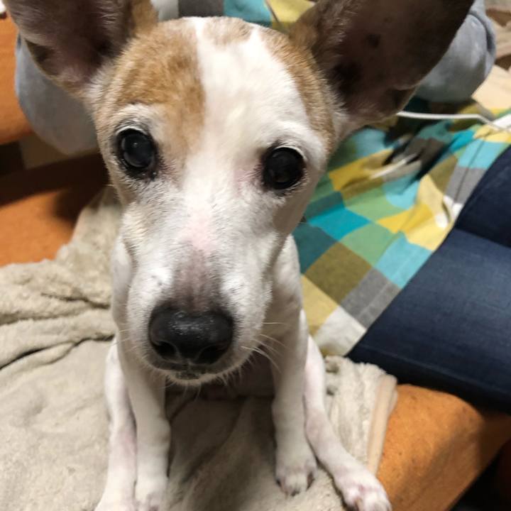 A9d40f83 b1e8 4aea 91ef 80d3c4c63003 1556979340107