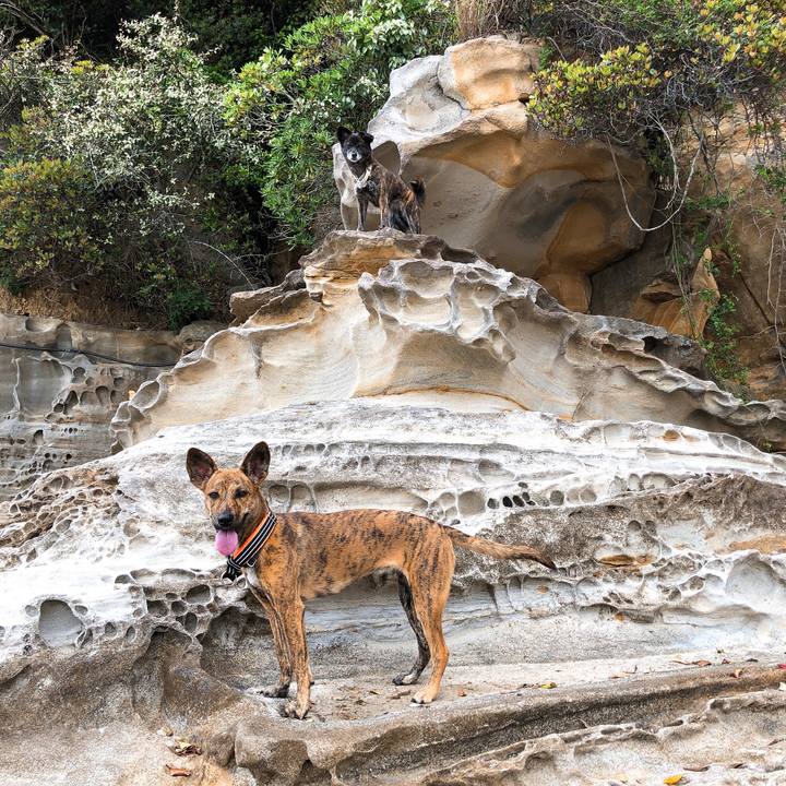 A9d46a12 5d8b 423e bf10 4b56540a3c7a 1587293847665