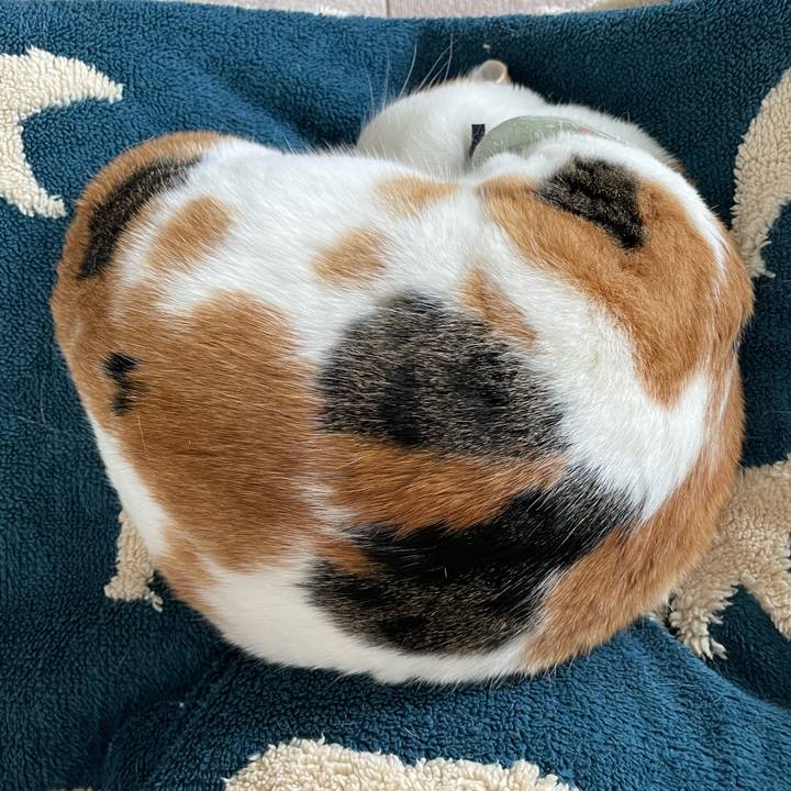 A9d4932b ead4 4533 a28d 6a131855c294 1671331234665