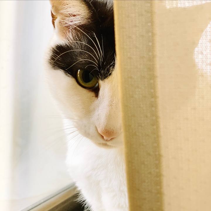 A9d4a235 10f2 4d5e 8796 db56cd66c794 1555120506324