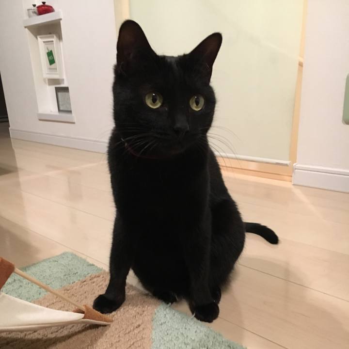 A9d4f275 5ae4 4128 bd17 28344f0d62a3 1511780009766