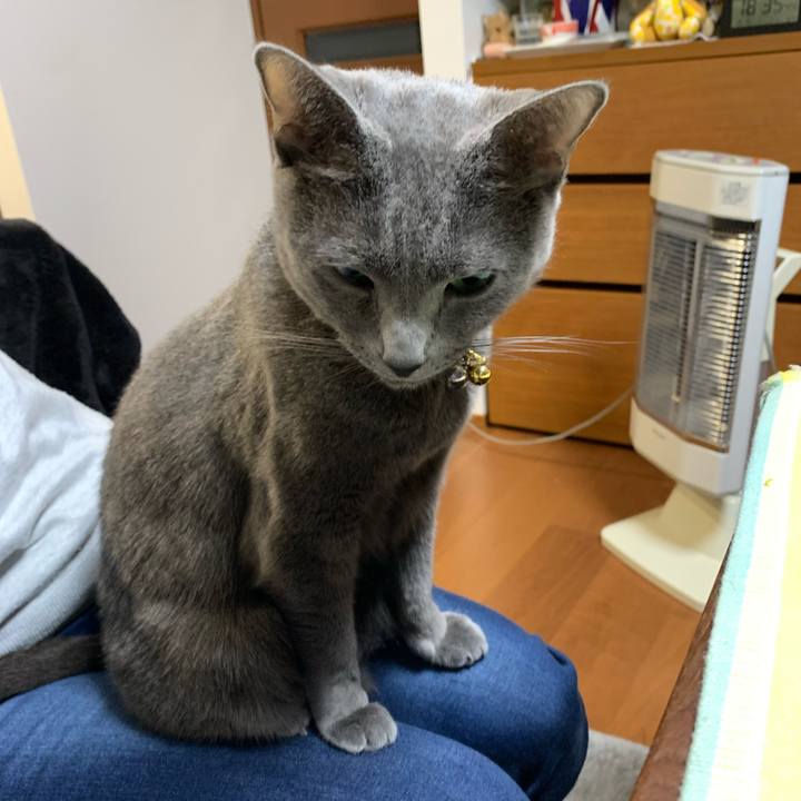 A9d4f6a0 010c 410f a4ec e926e2f4c733 1647442181876