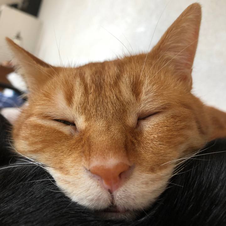 A9d5068c d9cd 41f4 bbf6 83318002cbcb 1713692349616