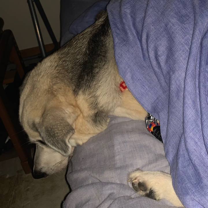 A9d514ad b04d 4f04 aea7 b8cb92c0efb8 1575814551453