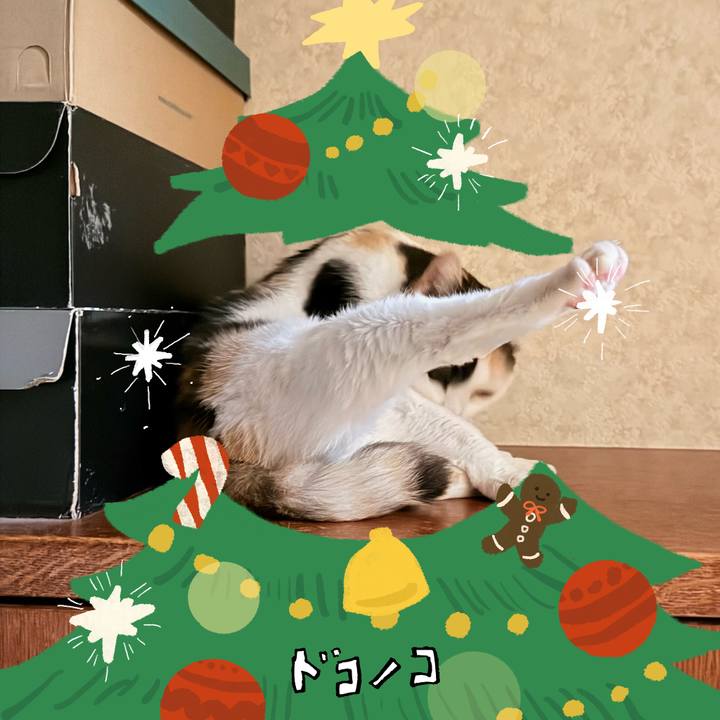 A9d51d64 942c 4adb 8613 fda59b552c0f 1761185456305