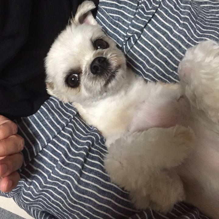 A9d52b6d cd93 4c7f b309 0d46f6c05c0b 1561814761388