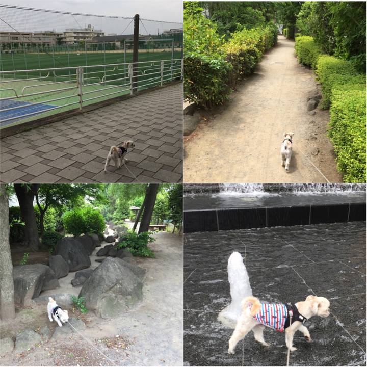 A9d57c55 bee6 405a b77f 4e75c68fc384 1525238349627