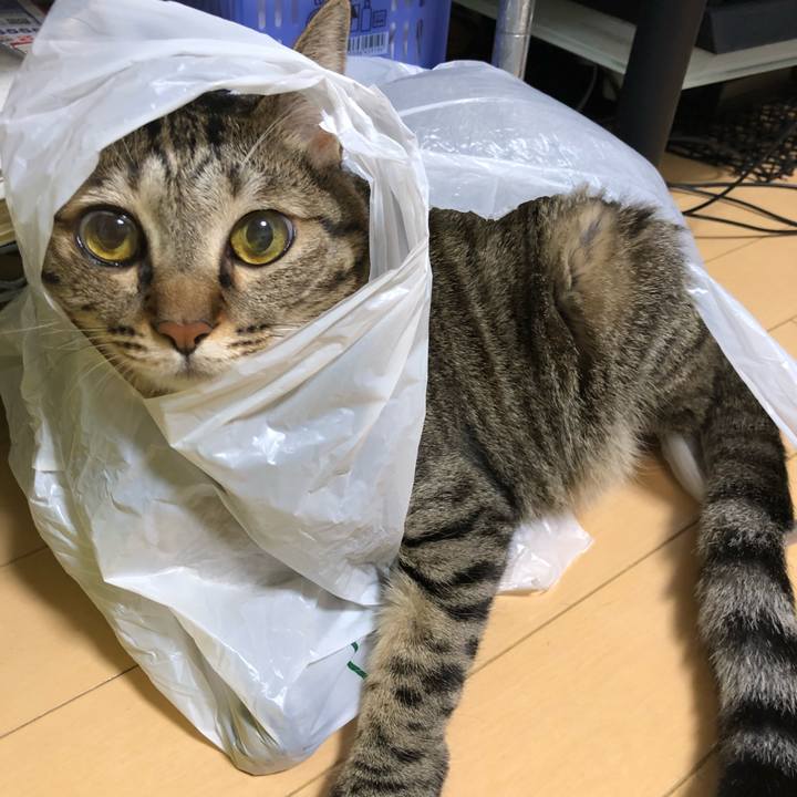 A9d58a1e 7dc6 41c6 93e8 b6c56d090640 1534796859872