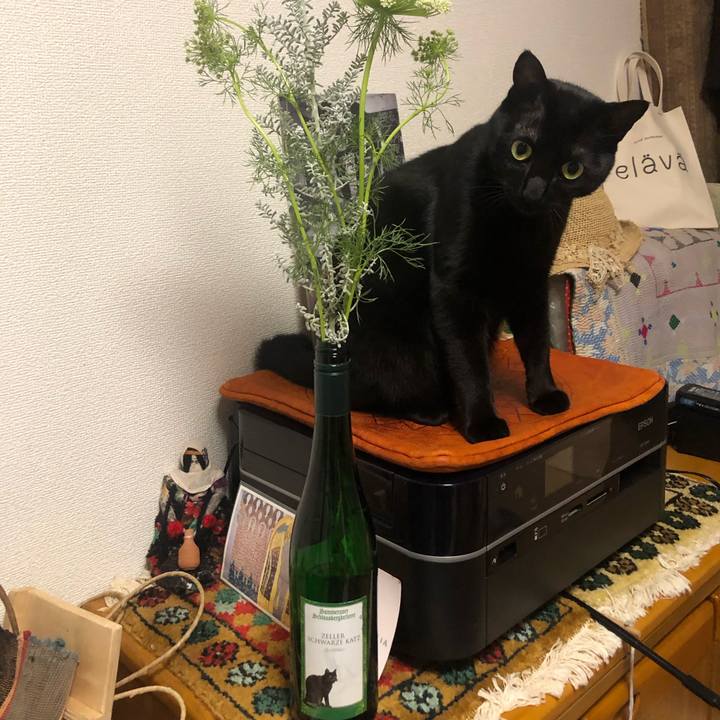 A9d5b189 b117 4a56 a404 bdc73eaaed41 1576759424898