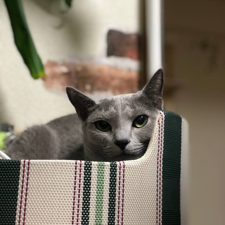 A9d5bcc8 13a0 4f46 9ad4 a03125dade3b 1543325043204