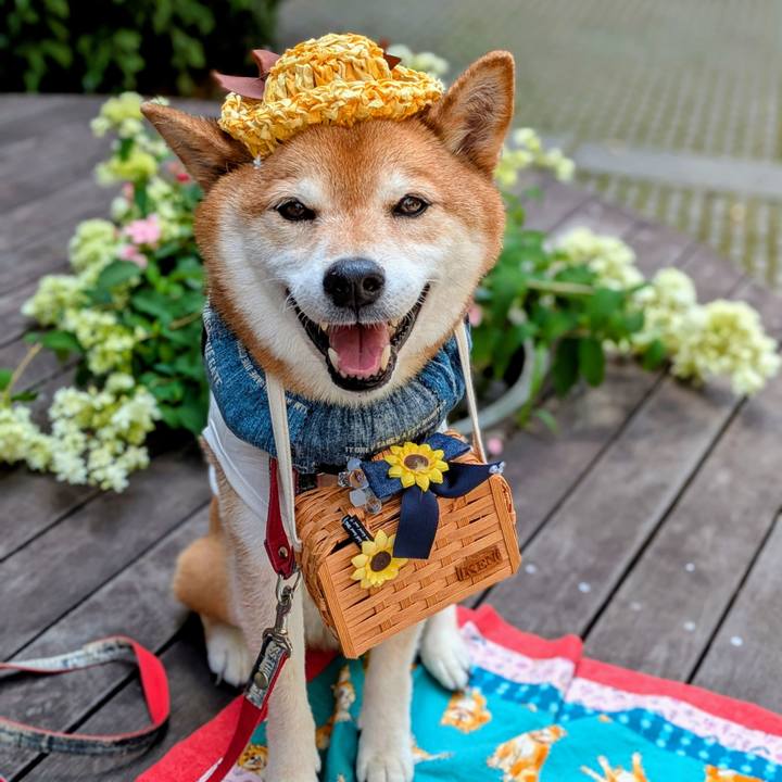 A9d5c7ea 6531 48da af29 9b105519ab52 1751678303225