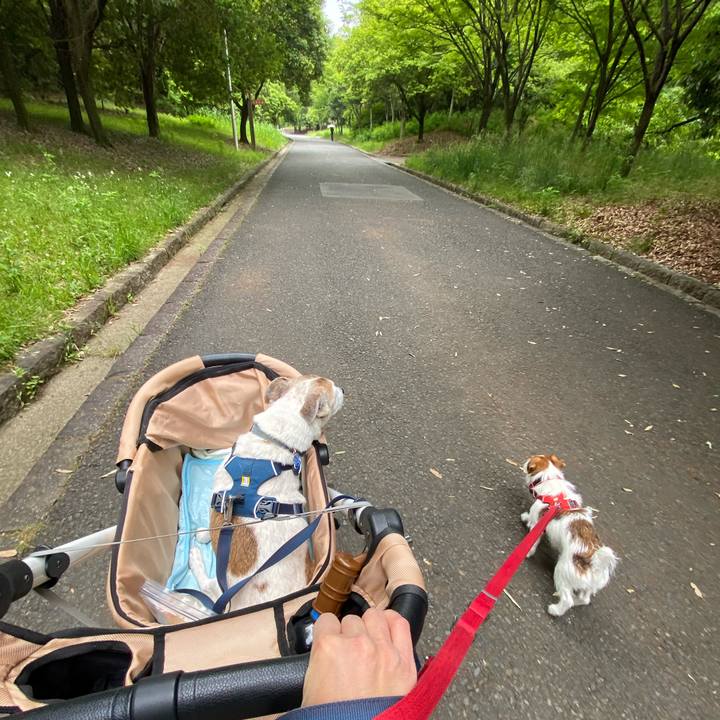 A9d6068c 2e01 4a7c 9d28 cb6d3bd68c4c 1653096907484