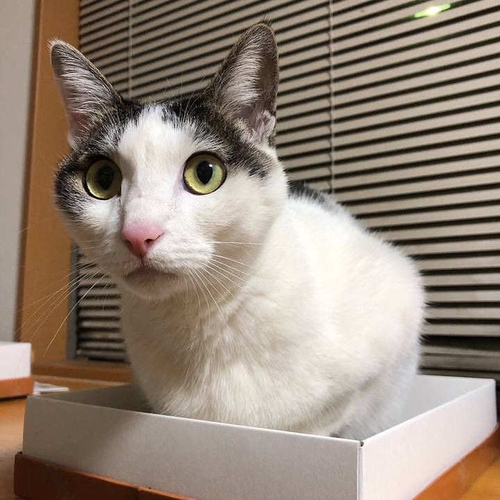 A9d62f83 a703 4bac b555 636cc02489c6 1647872740775