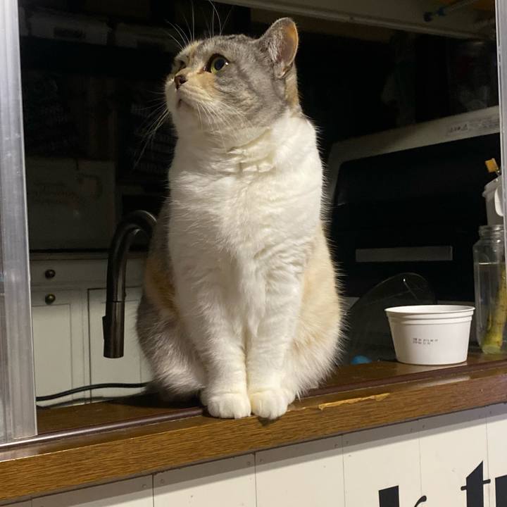 A9d644b7 b8c3 4c16 a54e bdfe3ab7d5d5 1674747758336