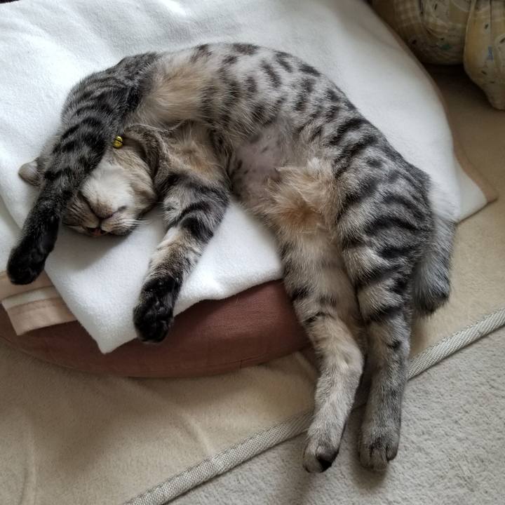 A9d65edb 9bc9 4c87 bdf5 9bb6425debe9 1678710500869