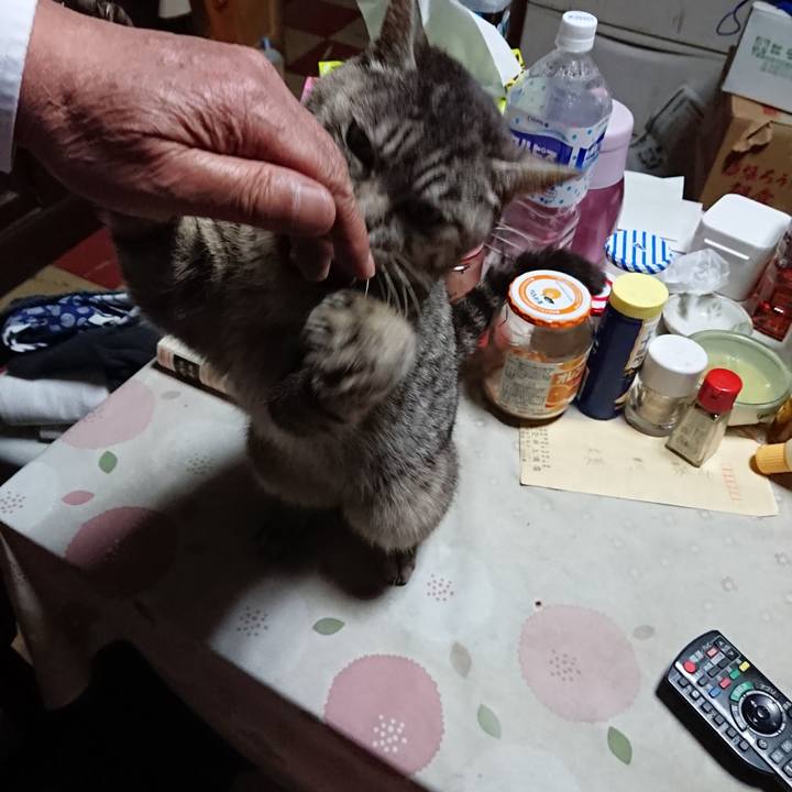 A9d6c2c1 4a90 48d0 8905 9b40e41e2201 1552900464758