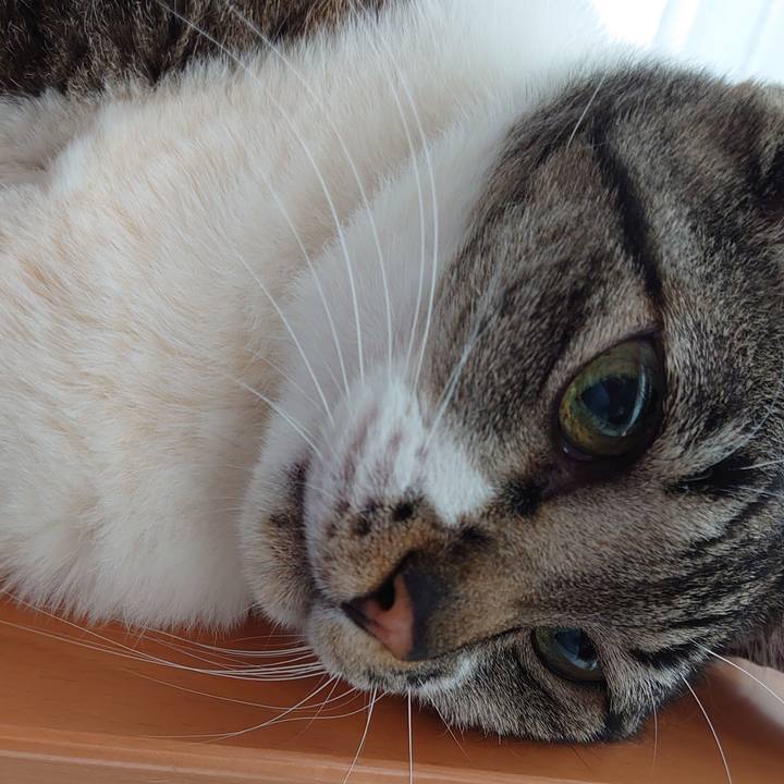 A9d6e6c1 7bb5 4789 b517 e3d6f8b4f9ac 1684543851296