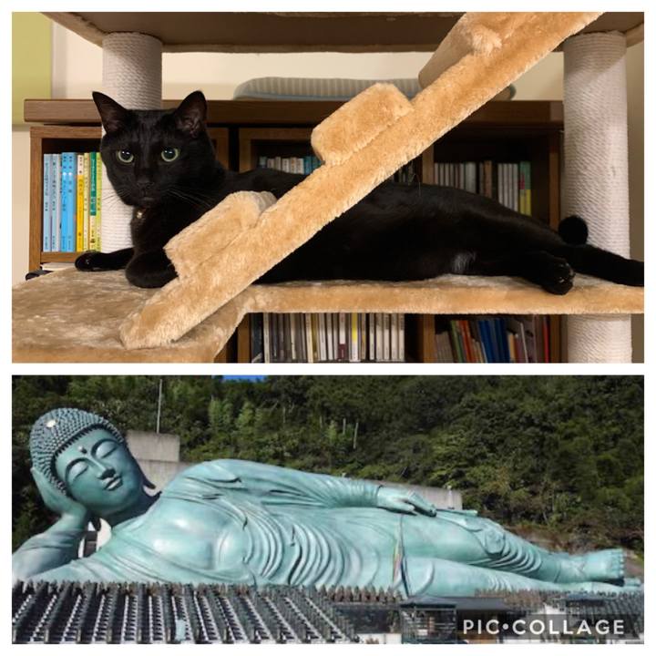 A9d6fad0 71e2 4d2c 9e25 5537f01c3755 1574855112385