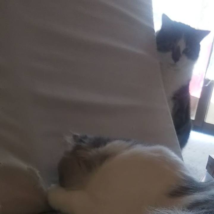 A9d70459 9e6c 427c 877e 2397c4a18f95 1627733127320