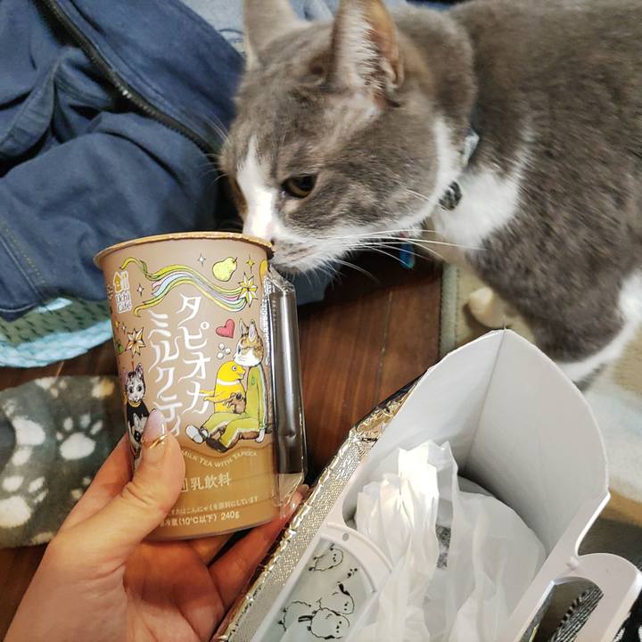 A9d76d12 1a49 4b8d 8e2b c1e9edac6180 1711459044045