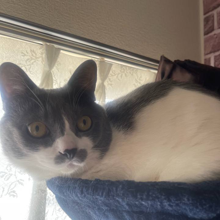 A9d79eda bbad 4f39 8a94 171435ffe5c2 1747263565421