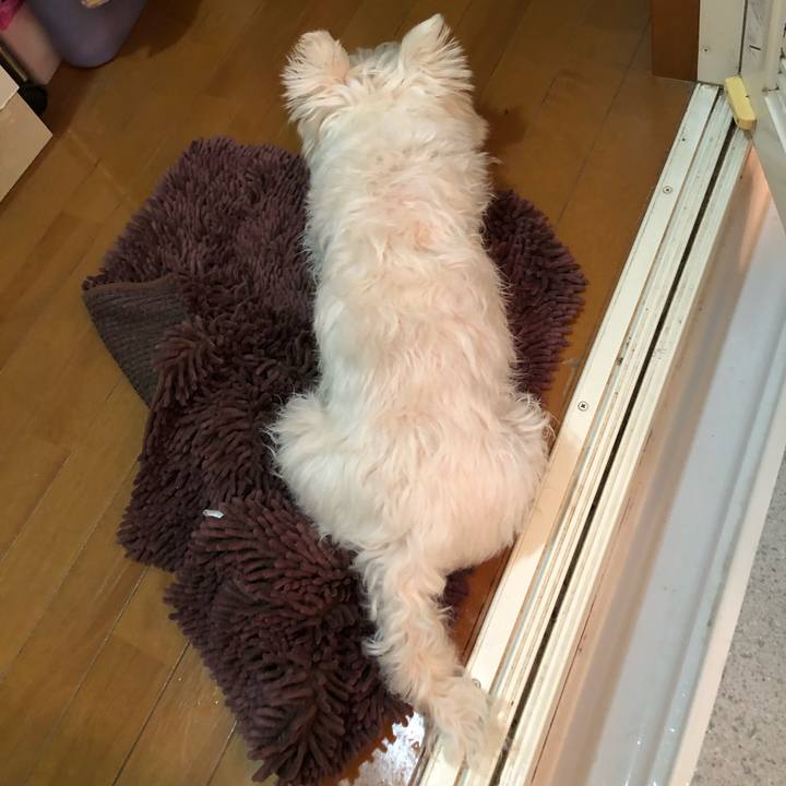 A9d7b480 67af 48a0 a636 9e2f46cc24aa 1567853793078