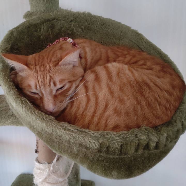 A9d7b7d9 da42 4671 8011 6bd6e5b04399 1704693785532