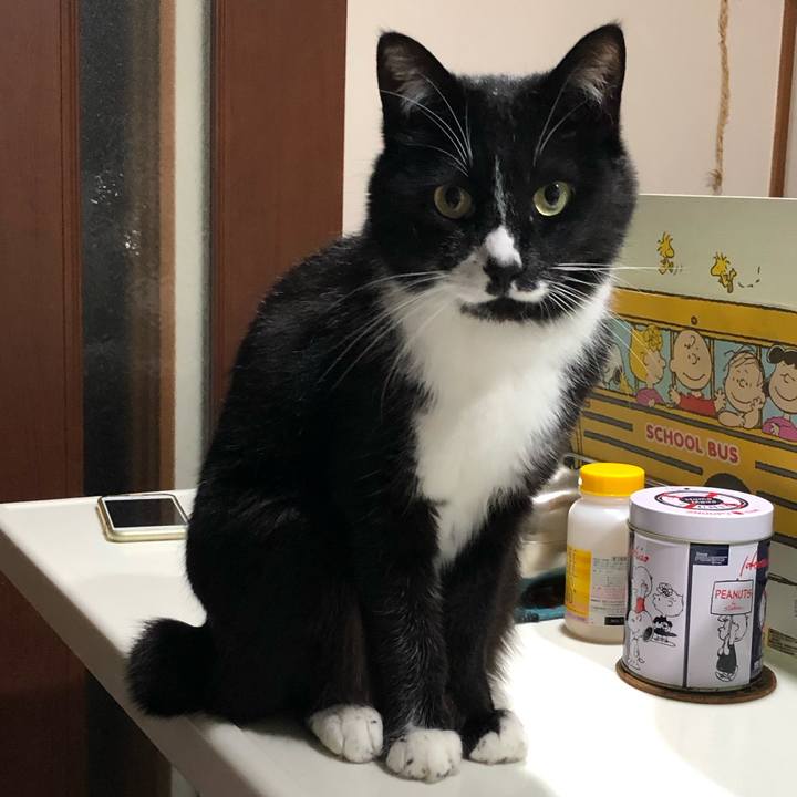 A9d7c7b5 b81e 4da0 8215 5fdd02fadb12 1622519086648