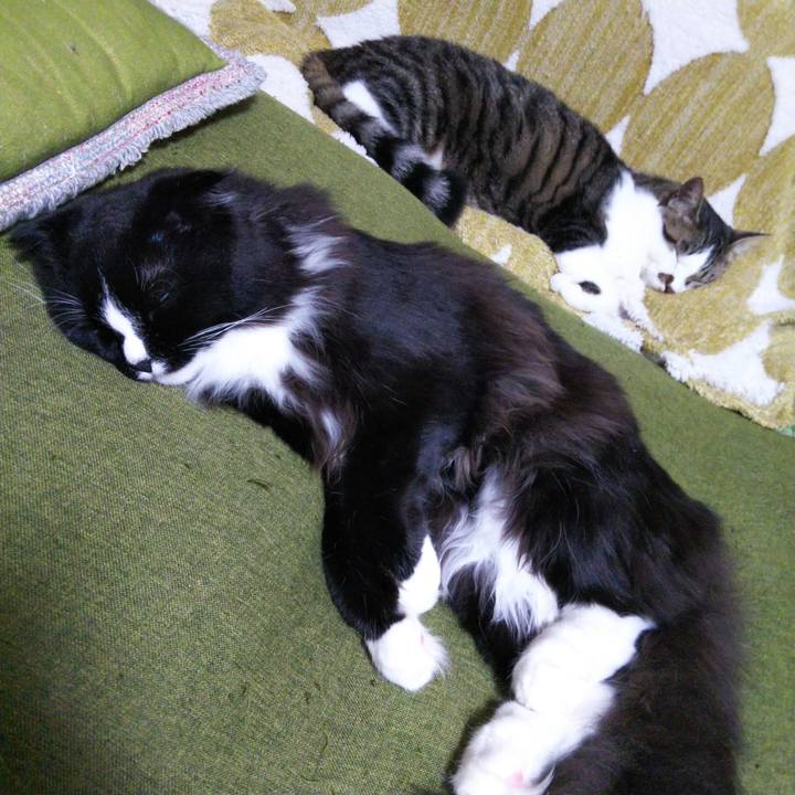 A9d83409 c463 410f a7da fd4dd1a904e0 1651359966012