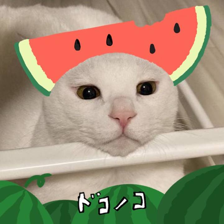 A9d87722 4422 4c55 b6d6 ee3da2514d20 1720787530651