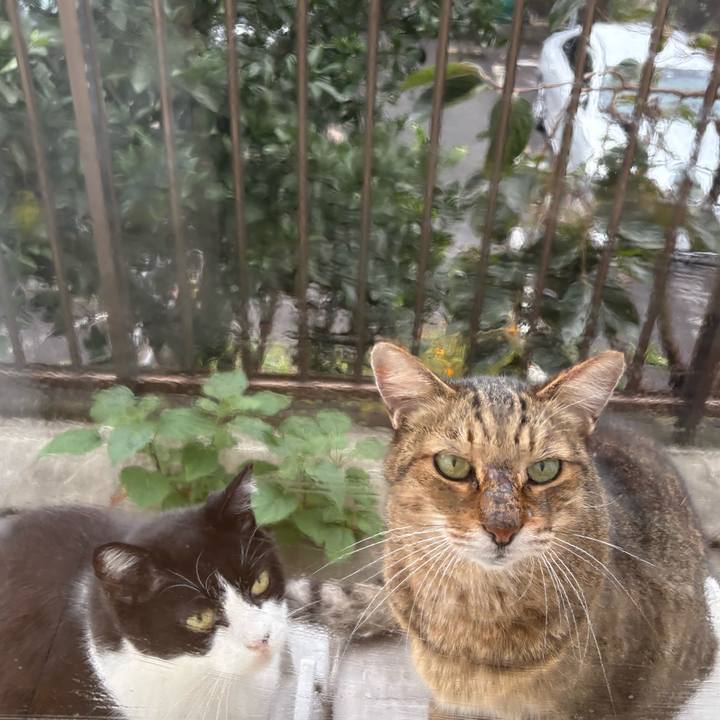 A9d89d0f 94fb 474f ad34 03d8fa2bde62 1761178013864