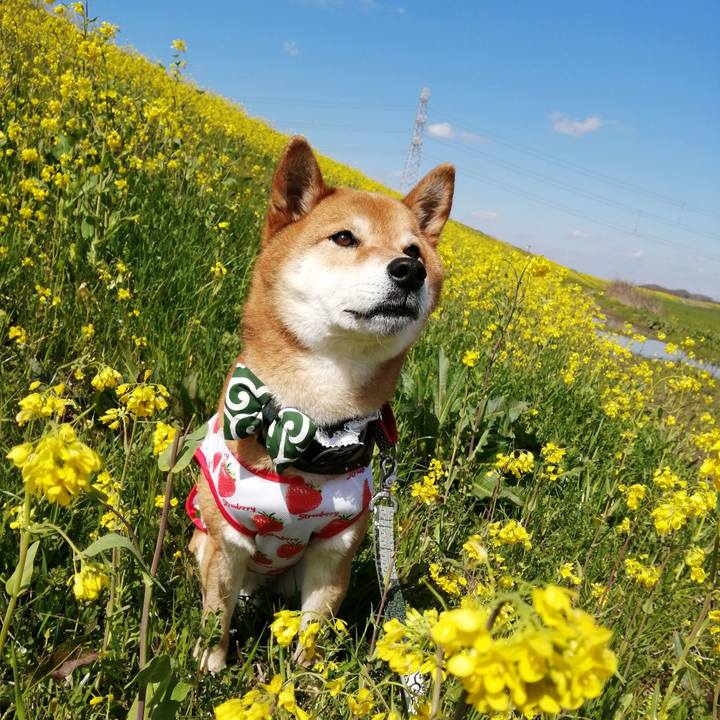 A9d8e0af 7713 4ff4 baa1 cdb1e36041d0 1584259415105