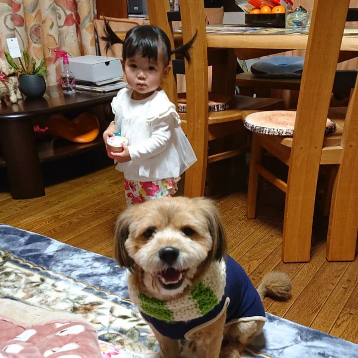 A9d8f2b2 b91d 4960 8a1a ec55b9aba7d1 1577712881062