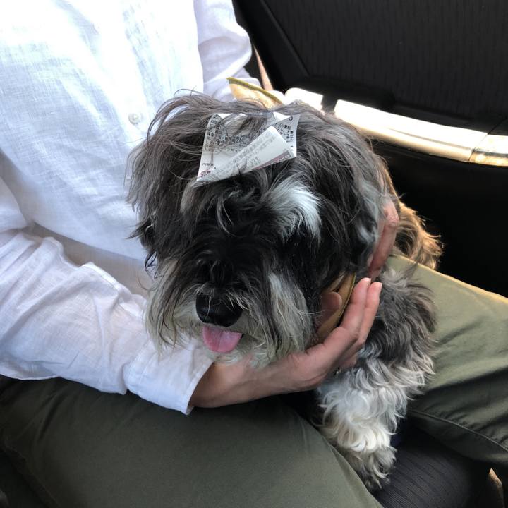 A9d90a7c c42b 4795 9cbe 31691cf27776 1531538572052