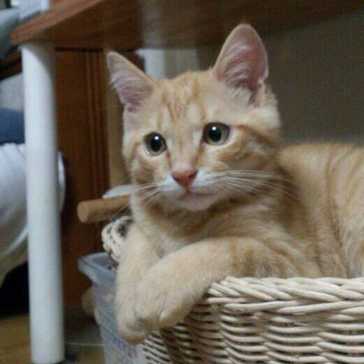 A9d9312e 721c 40db a546 676ea76726a2 1513946612518