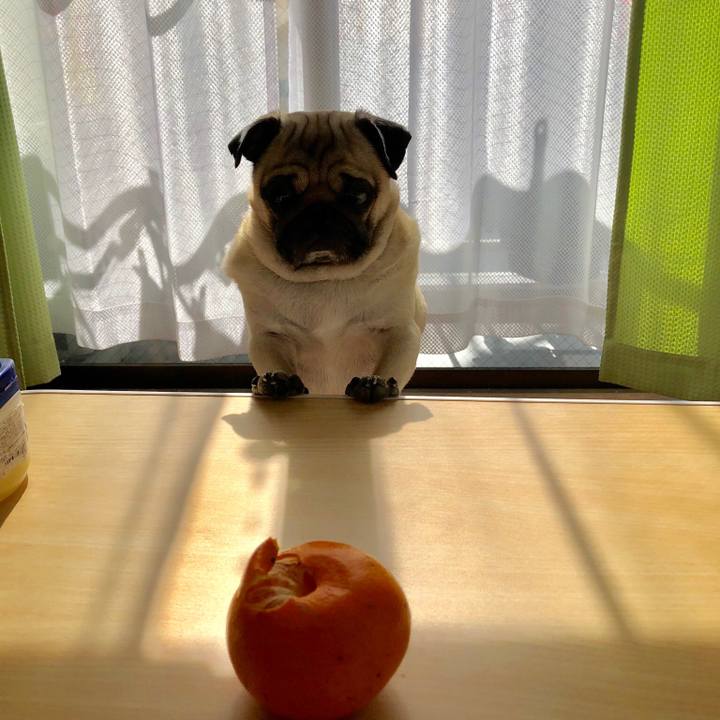 A9d94b7d 2925 41a3 9500 926249dcbd96 1522374473006