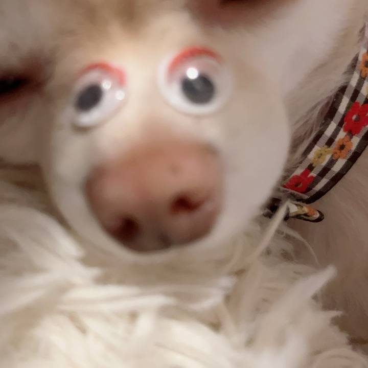 A9d9c3a6 d441 4ff5 a24a 6682fa3aac65 1724483094870