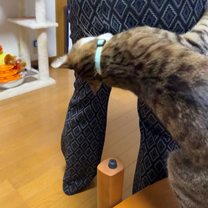 A9d9d5fc aa6a 490b 9f99 6c11dfb28630 1714299342386