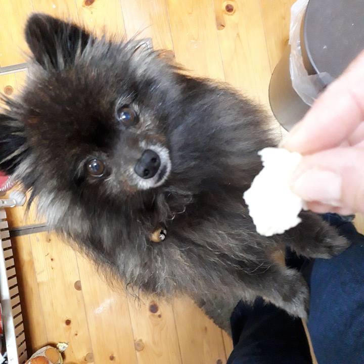 A9d9ee07 f381 4f01 b8f4 759095aacd9e 1519934912570