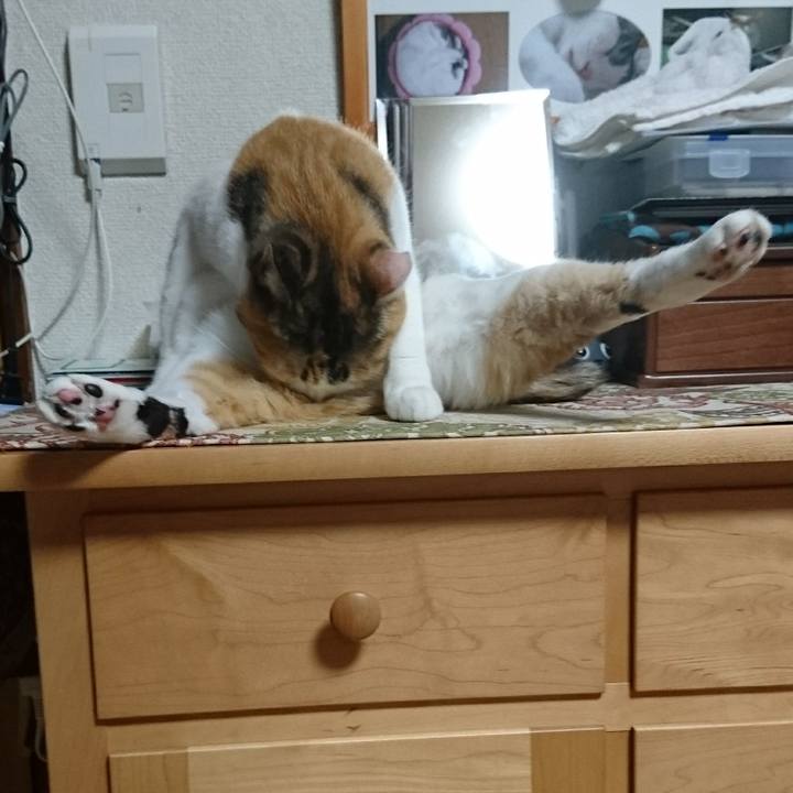 A9da21d8 a219 4bdd 9c18 9bede5146ff3 1566472783932