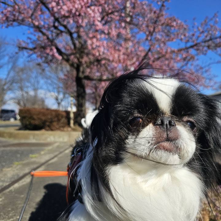 A9da3818 993f 4add a7ea 831f7bbe413a 1741509898066