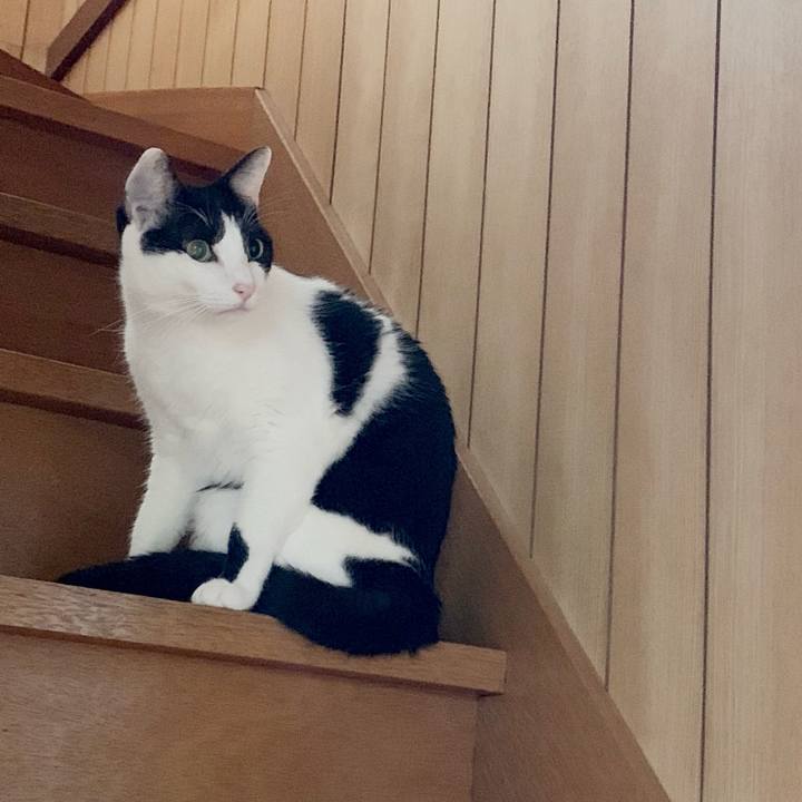 A9da56f5 bf9f 469a bbed 2a14a989085d 1540086296770