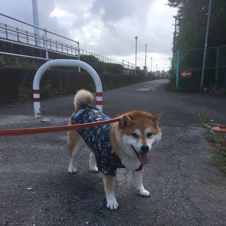 A9da689d d1f6 423b bf01 c9b74cb55621 1565739972052